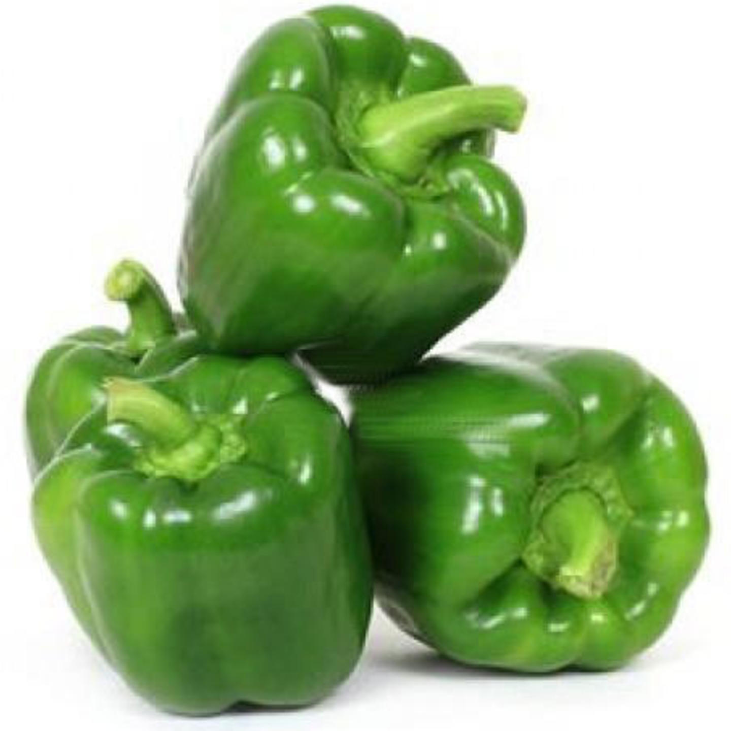 Capsicum