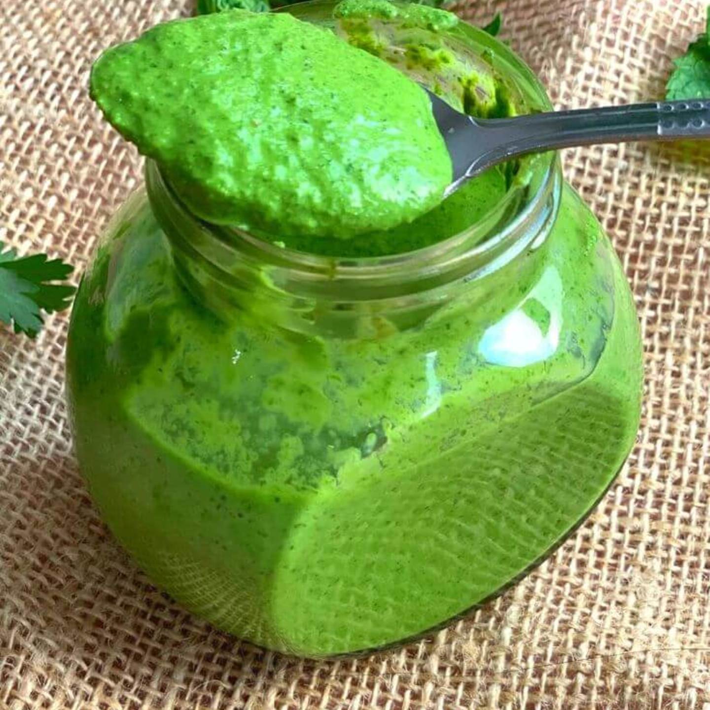 Dahi Mint Chutney