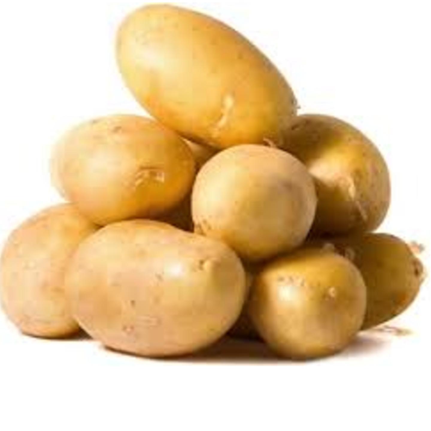 Potato