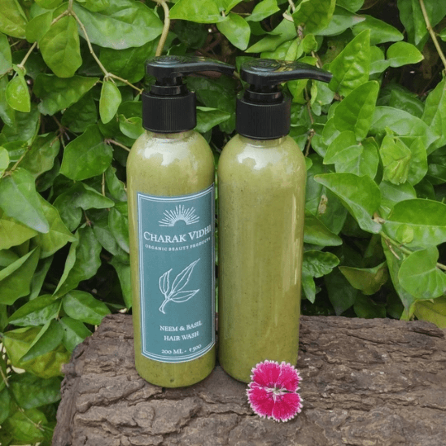 Neem & Basil Hair Wash