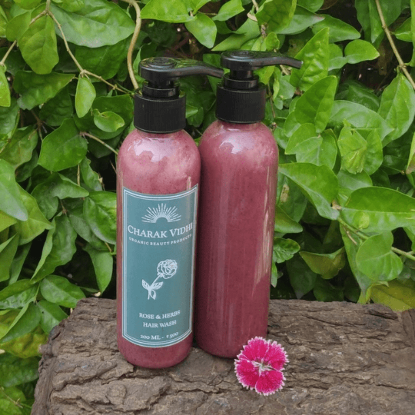 Rose and Herbs Hair Wash