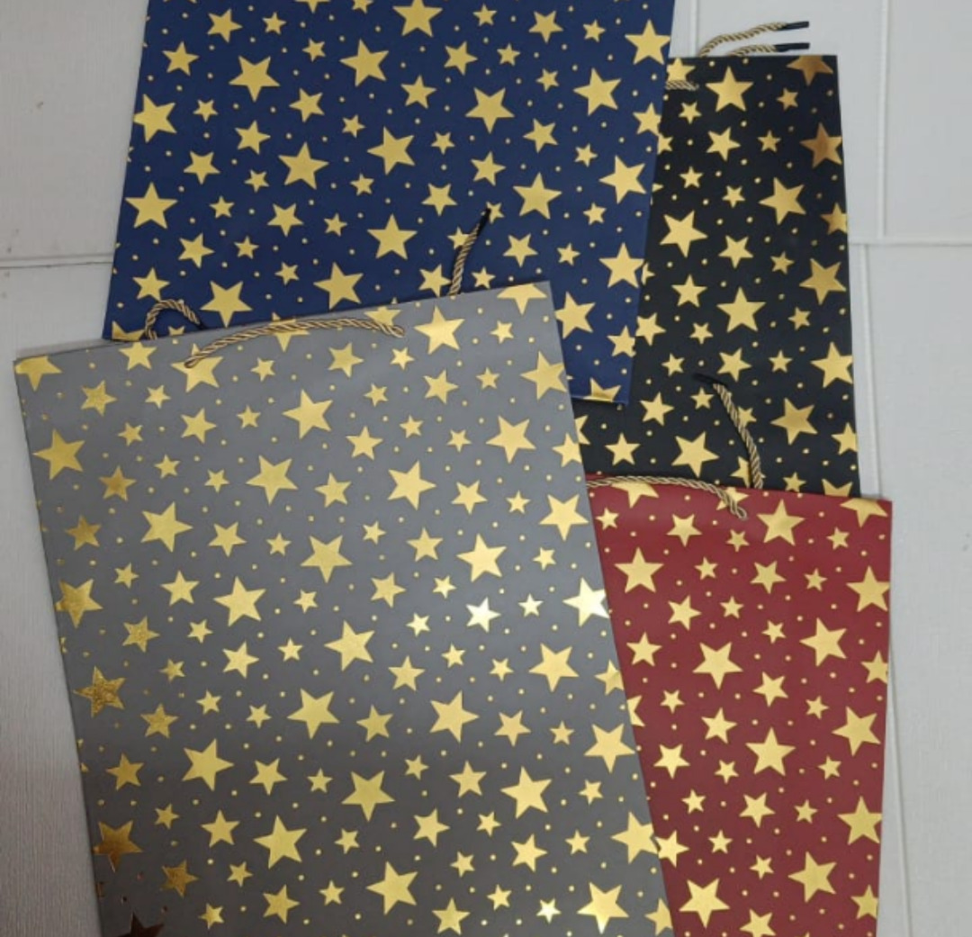 Esmi®- *Thick/Hard Paper Gift Bags