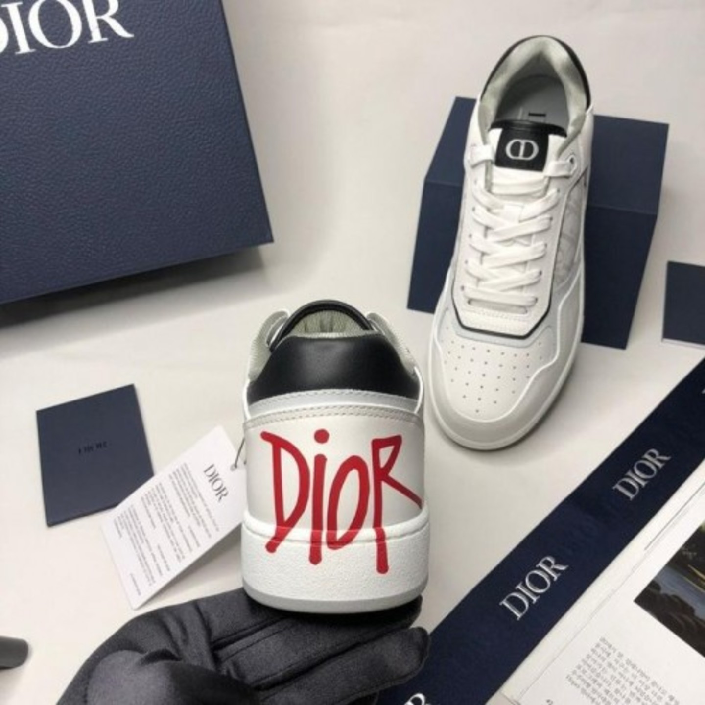 Dior B27x Shawn low top white black