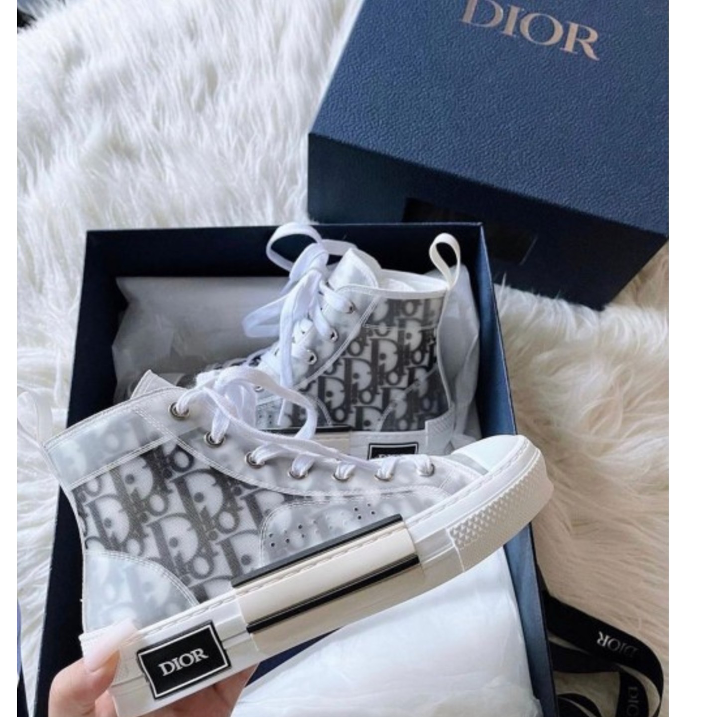 Dior X b26 high Converse obliques