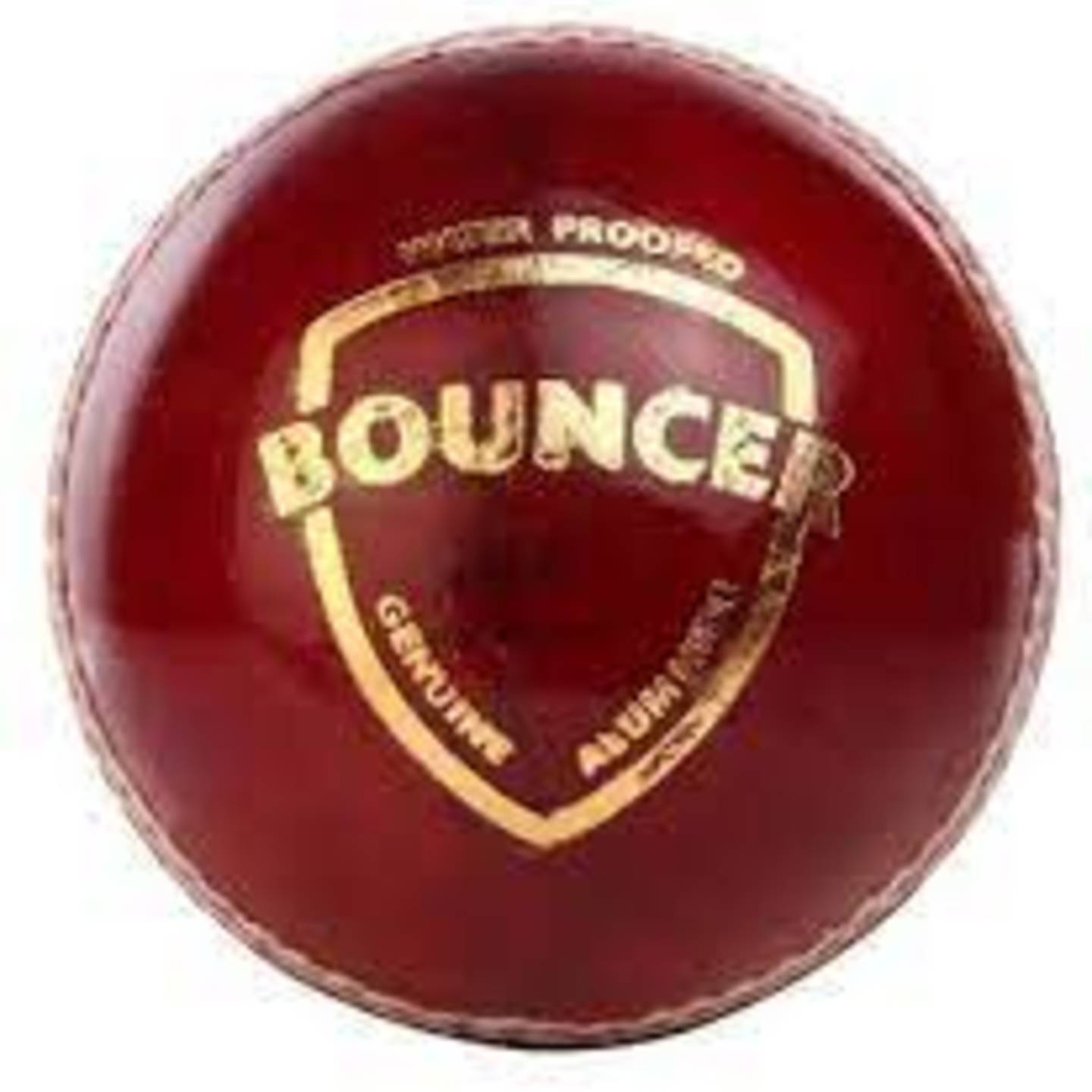  SG BOUNCER 4 PC. LEATHER CRICKET BALL