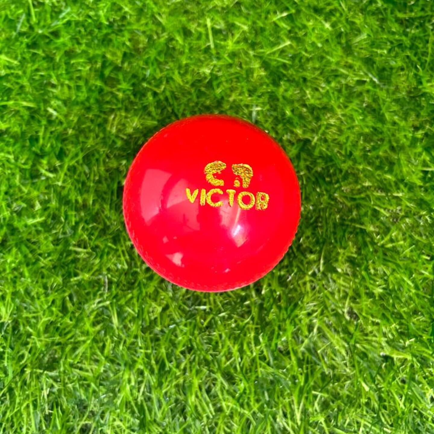 VICTOR SYNTHETIC CRICKET BALL | CRICKET PRACTICE
