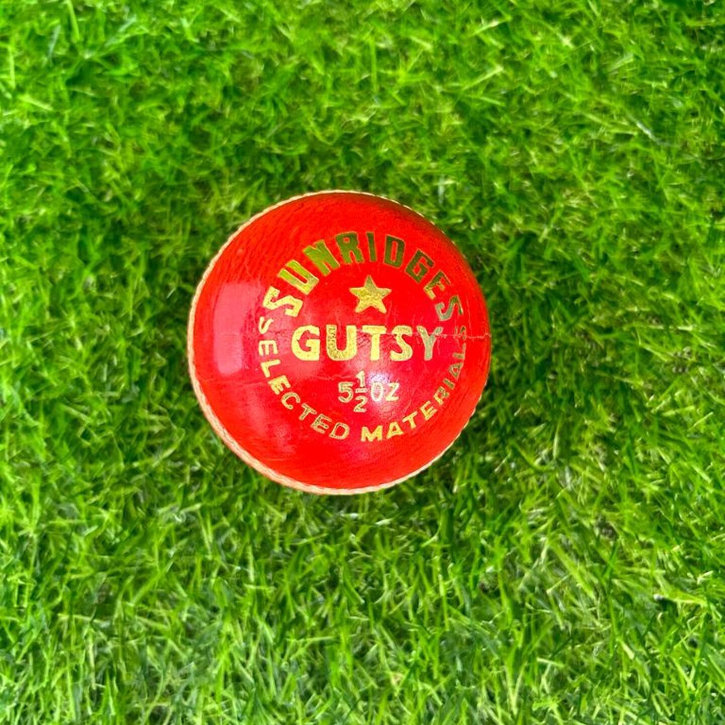 SS GUTSY LEATHER CRICKET BALL | 4 PC. ALUM TANNED RED CRICKET BALL