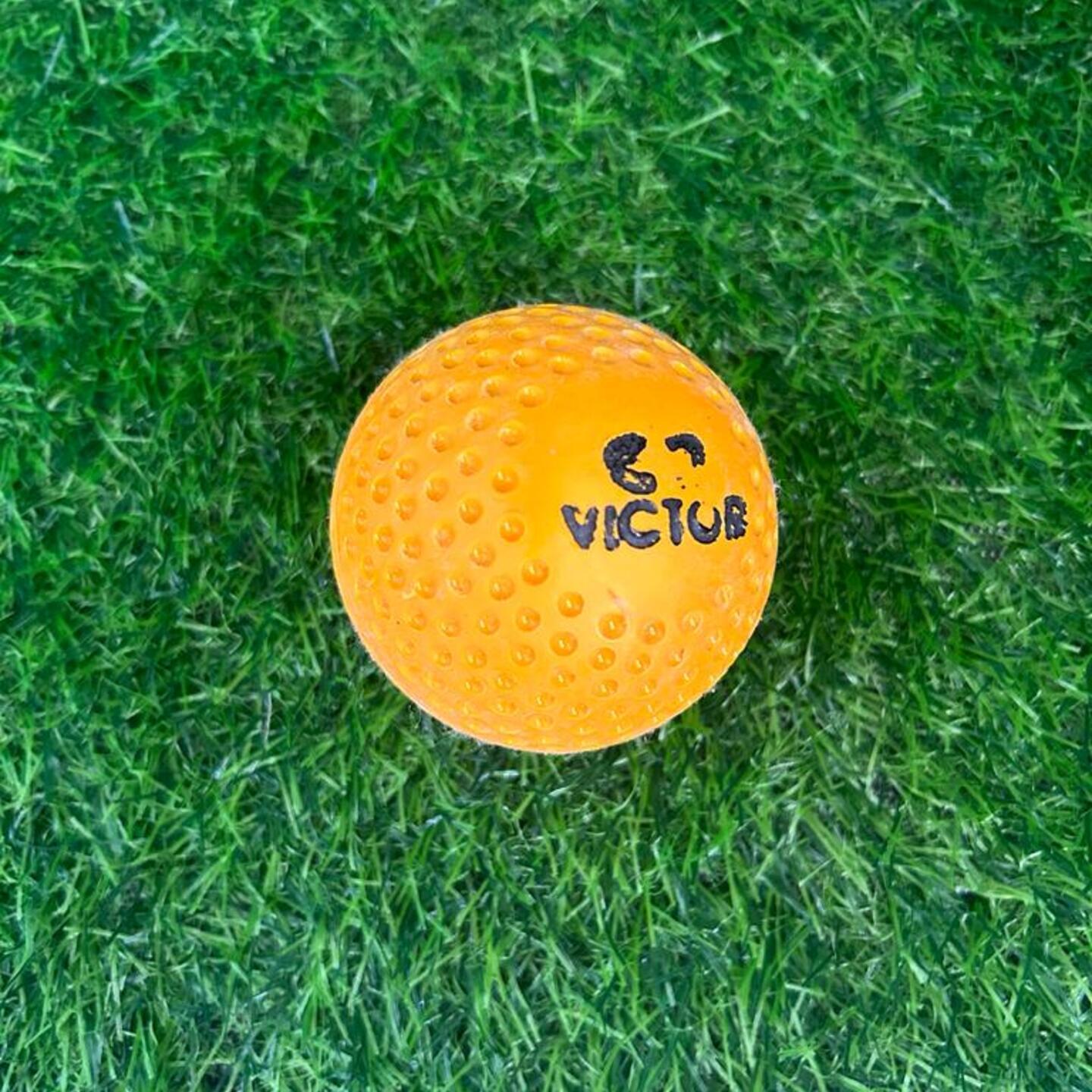 VICTOR TURF HOCKEY BALL  MULTICOLOURED