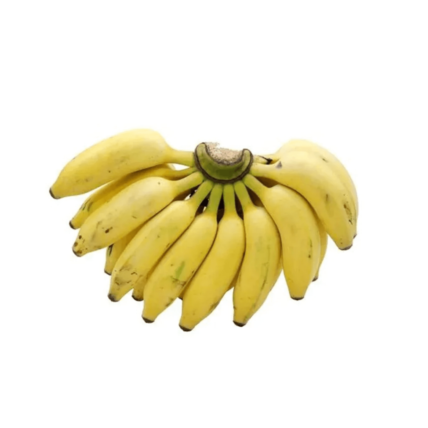 Banana Elachi