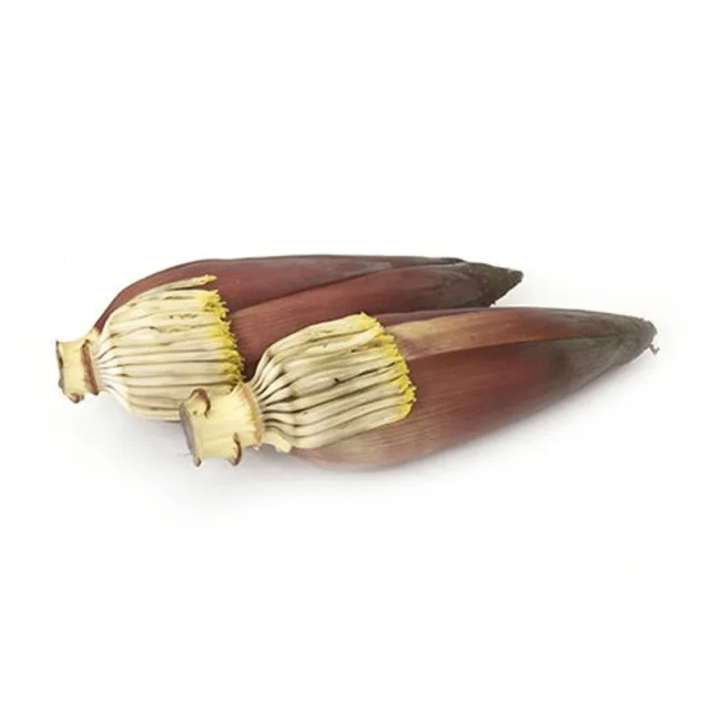 Banana Flower