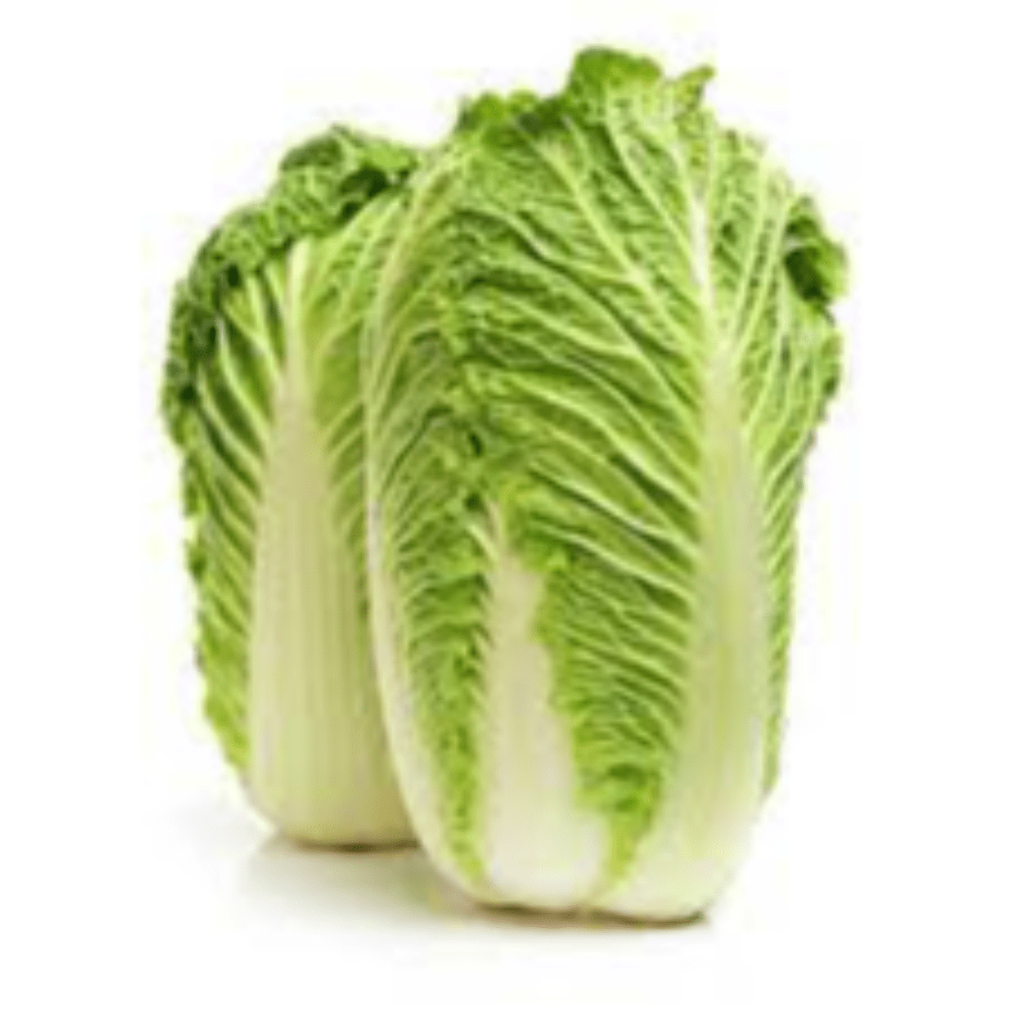 Chinese Cabbage