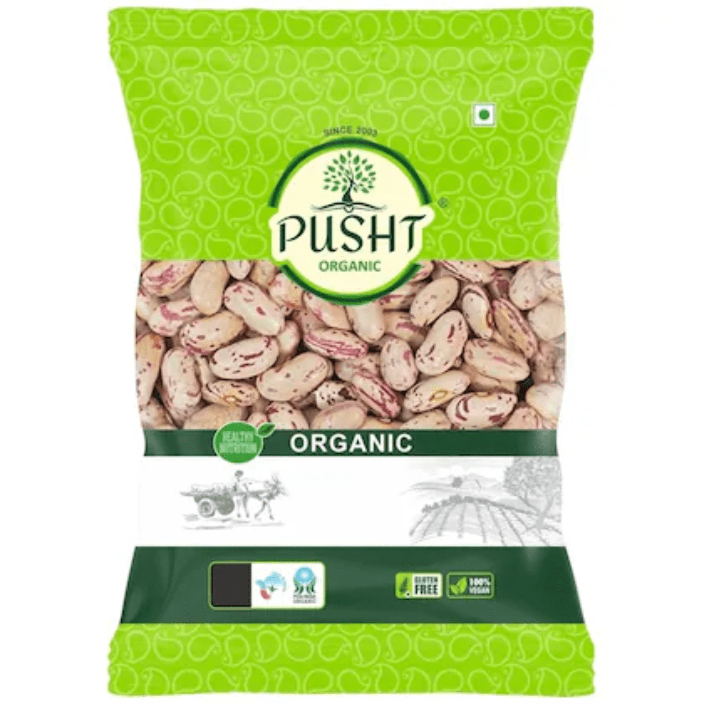 Pusht Organic Rajma 500gm (पुष्ट ऑरगॅनिक राजमा ५०० ग्रॅम )