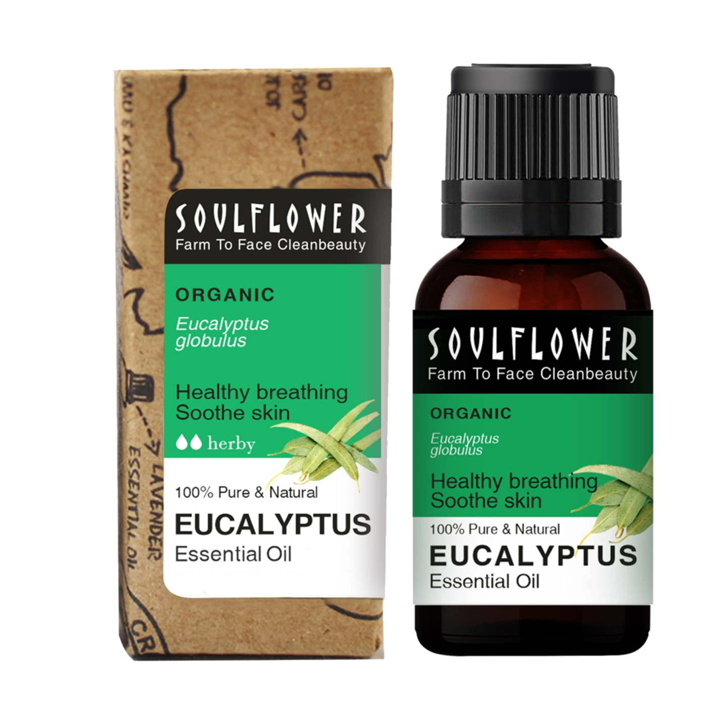 Soulflower Eucalyptus Essential Oil: 10 ml