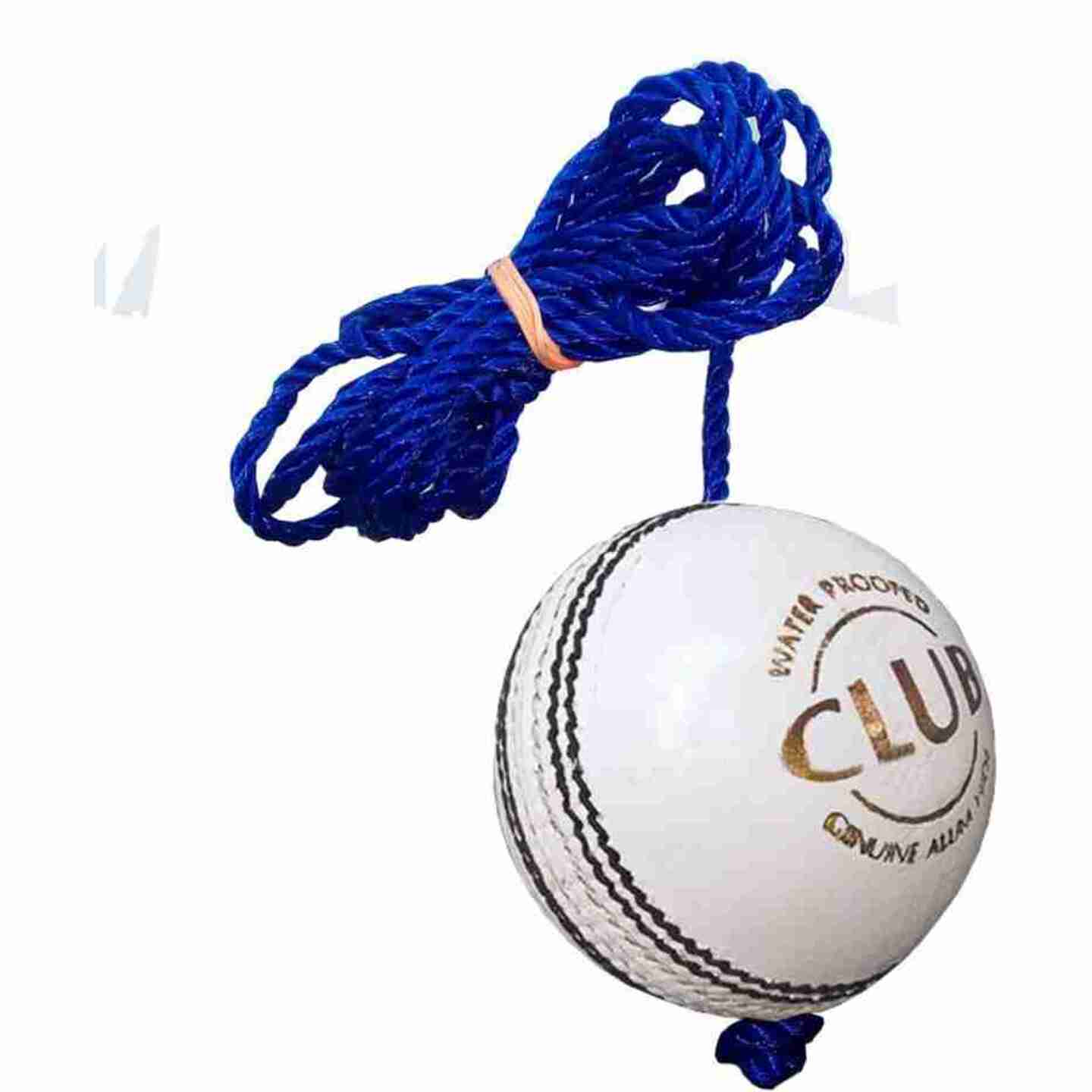 Hanging Cricket Training Practice Ball