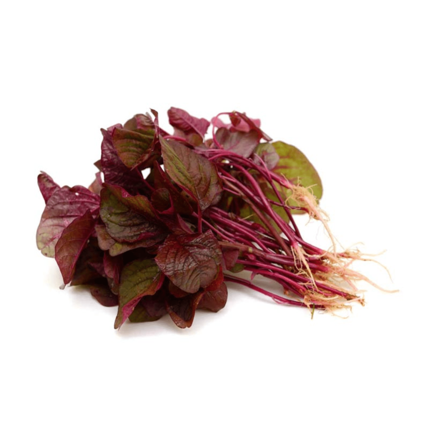 Amaranthus red