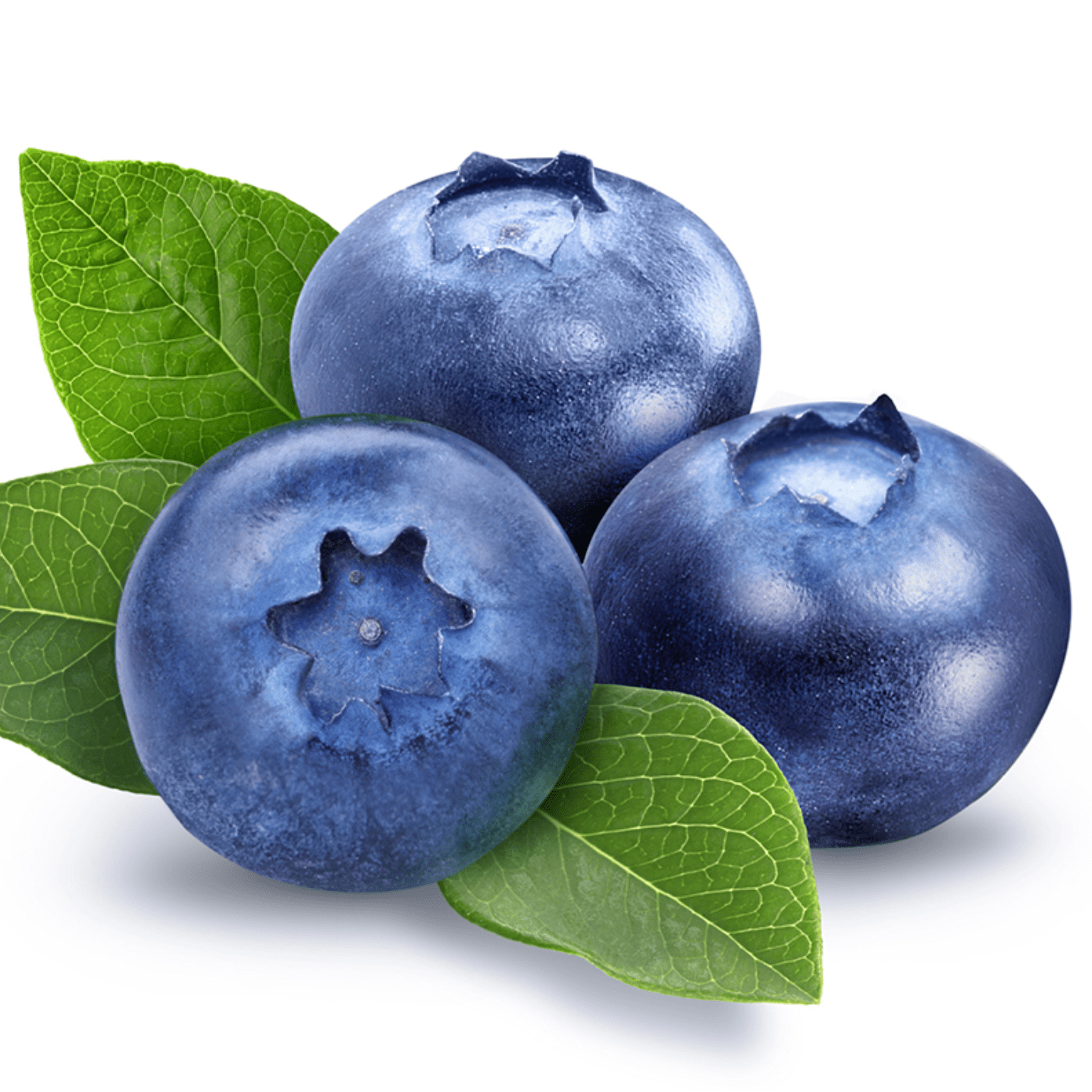 Blueberry