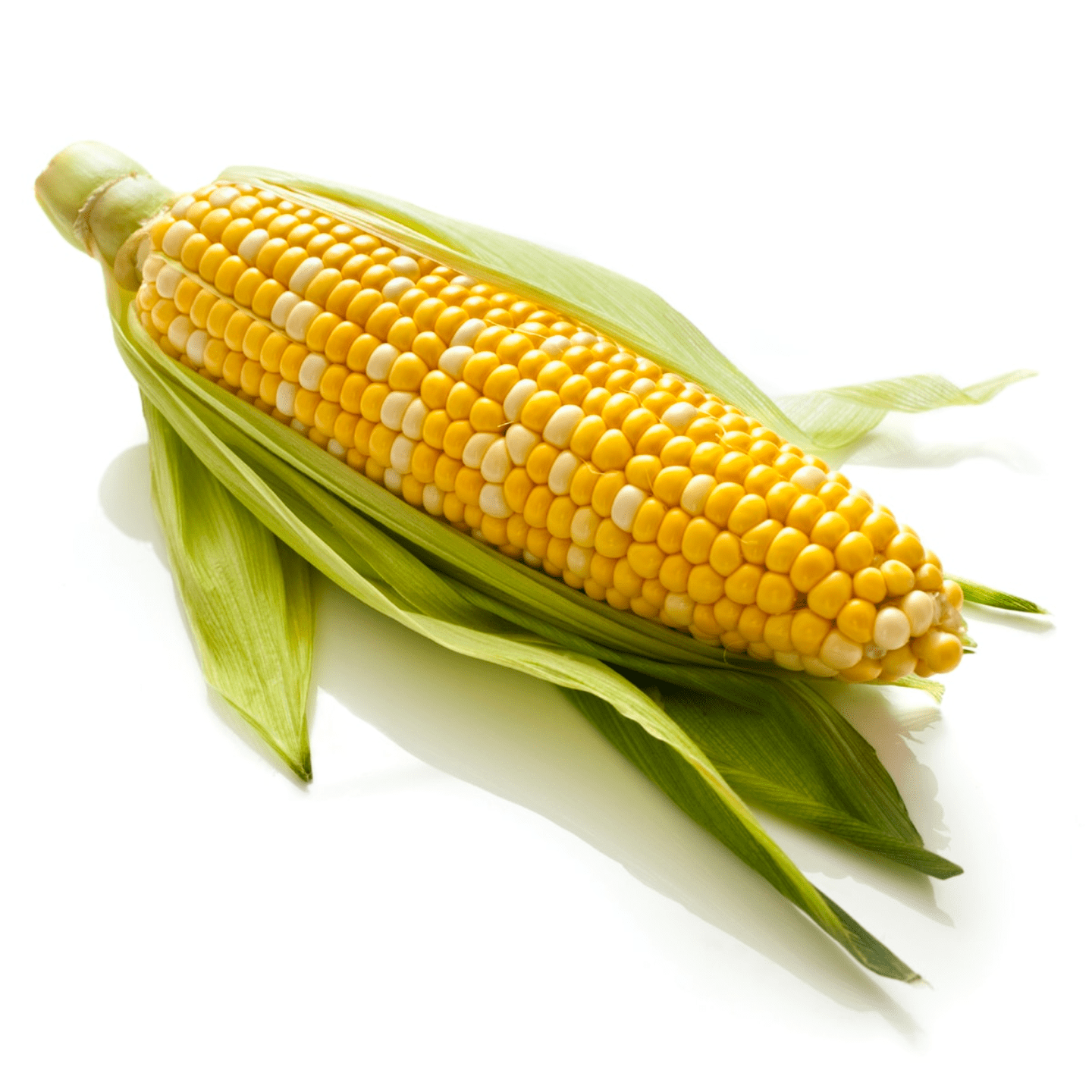 Sweet Corn