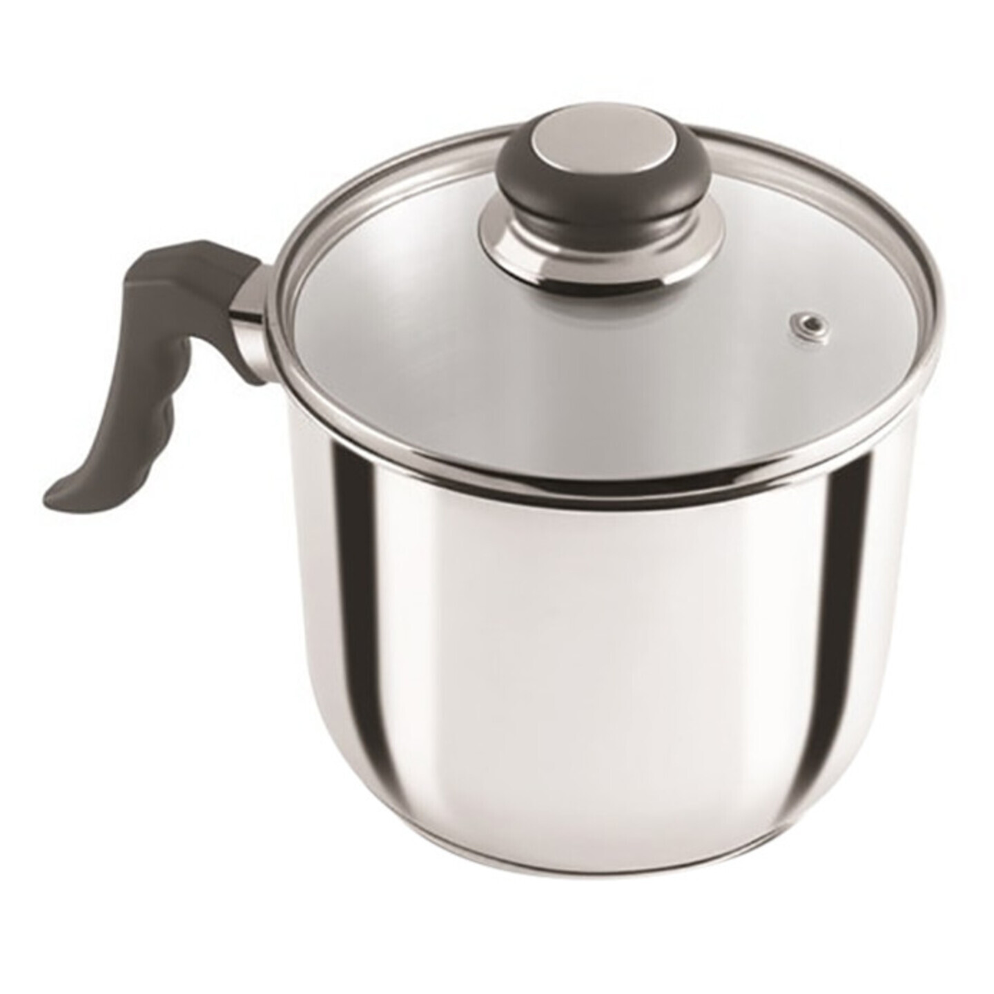 Anjali Fiesta Stainless Steel Cookware Milk Pan With Lid