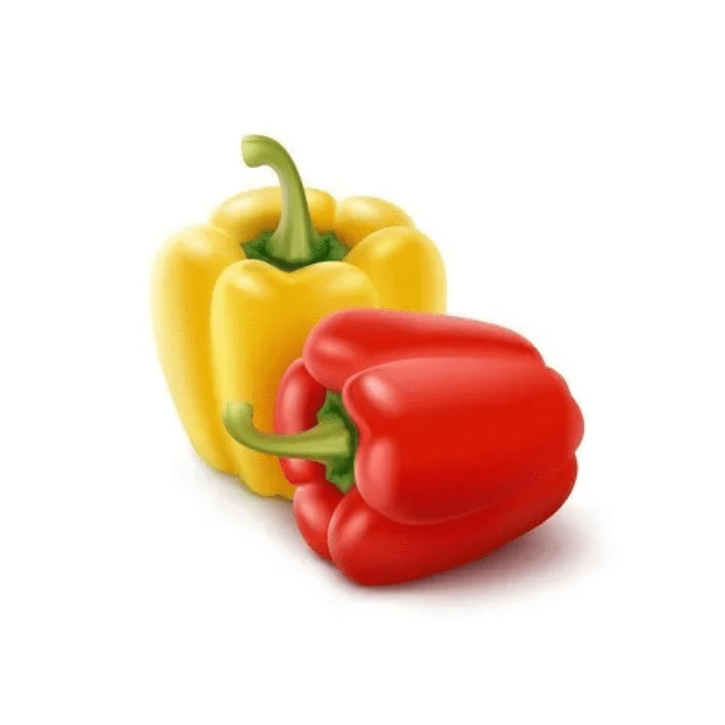 Capsicum Red & Yellow