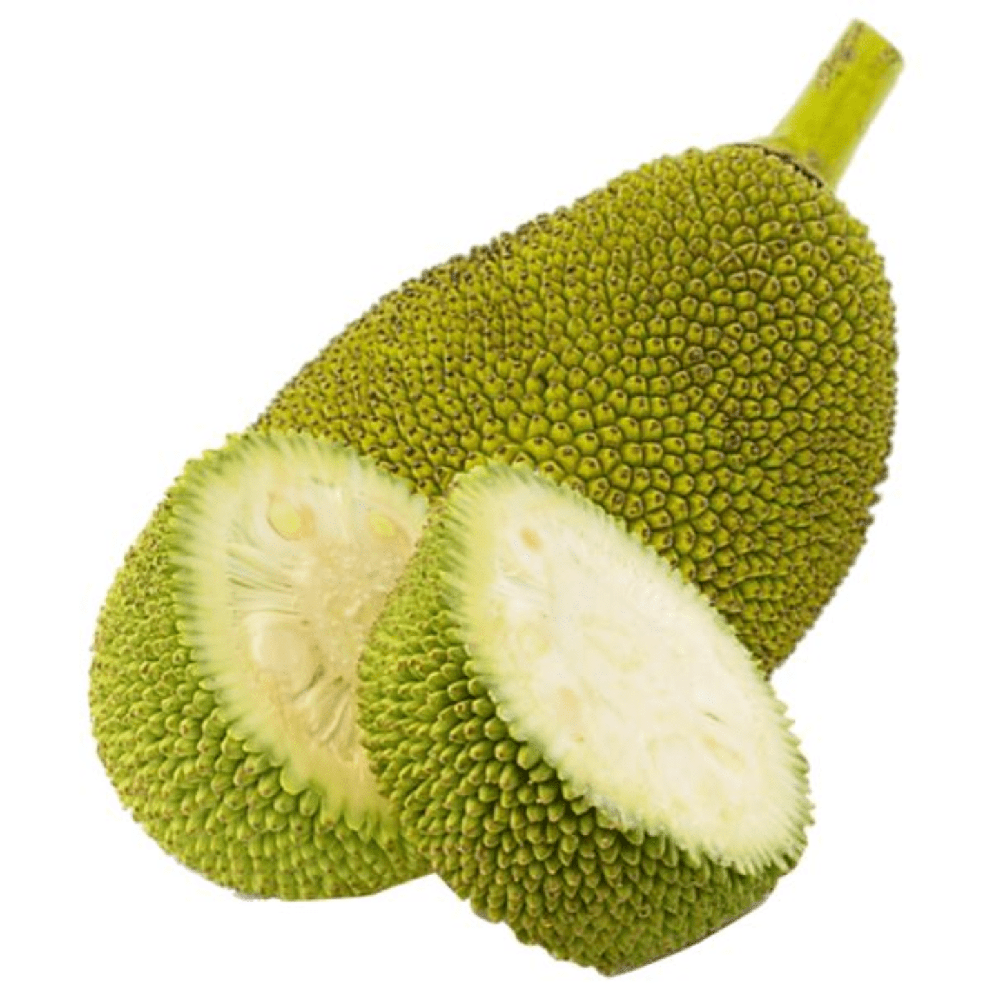 Jackfruit