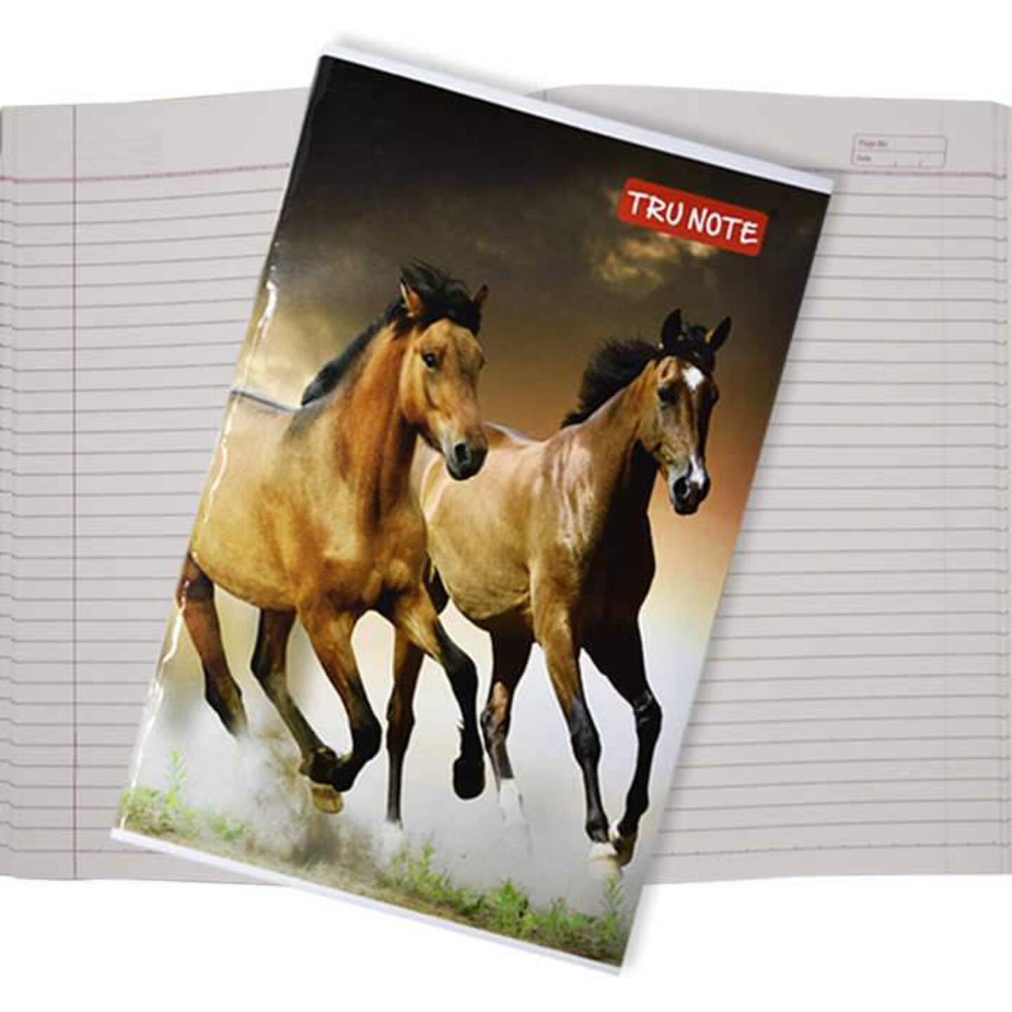 Tru Note Longbook Regular: 172 Pages