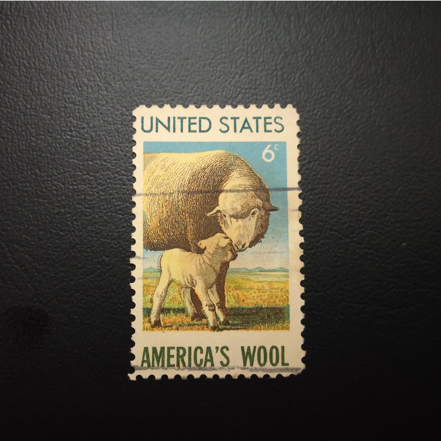 America's Wool