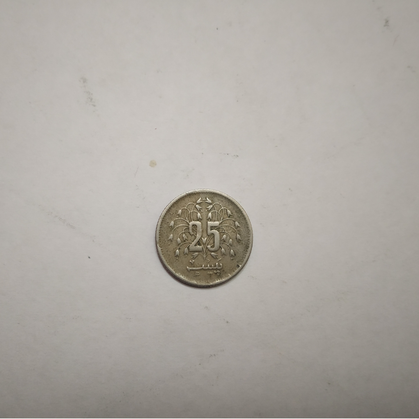 Pakistani Rupee