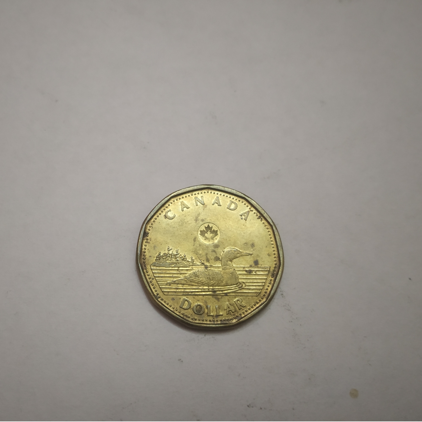 1 Canadian Dollar