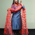 LUNCH NEW KURTI WITH HEAVY BUTTERFLY DUPPTA