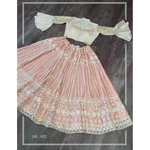 lehenga with Blouse