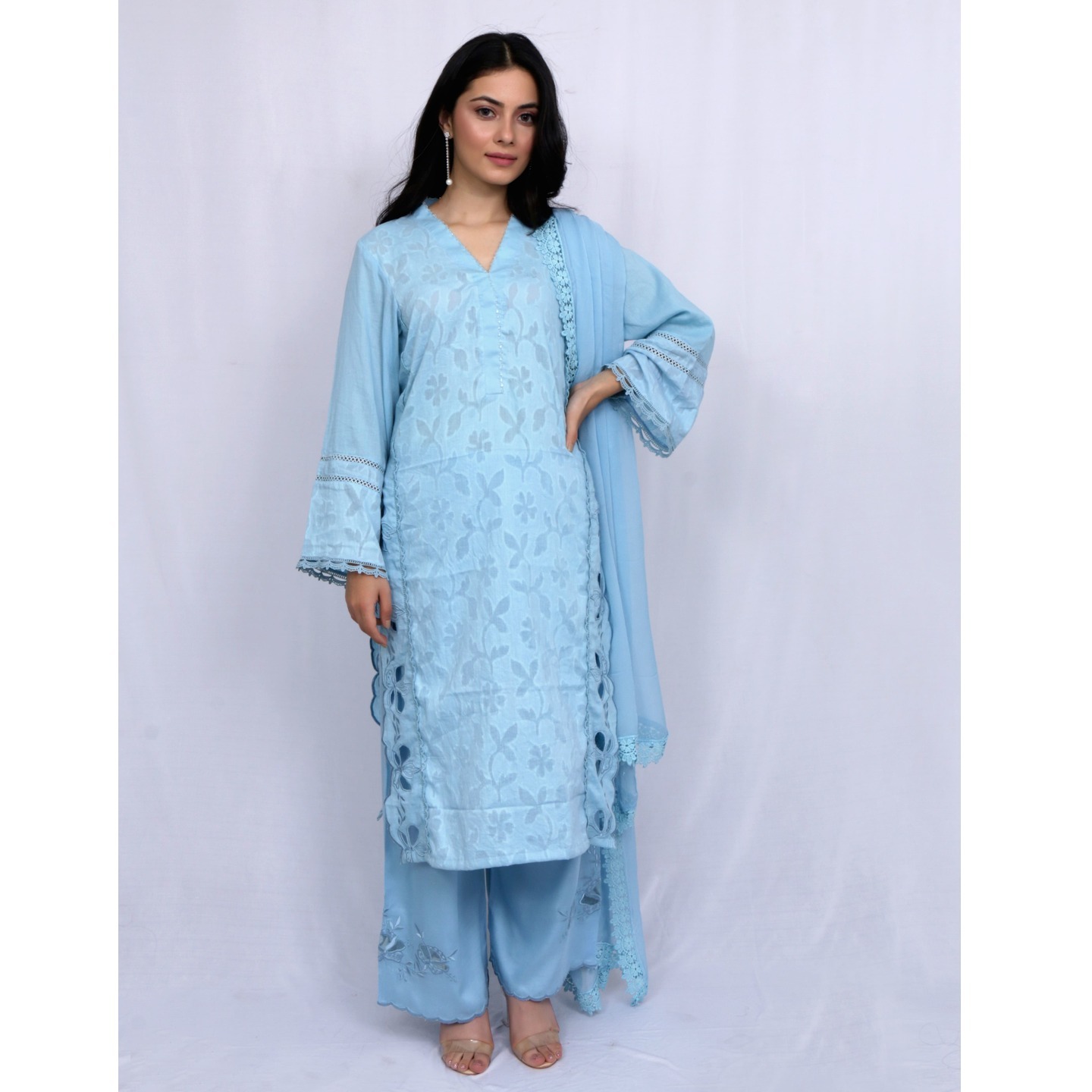 Powder Blue embroidered self panel suit