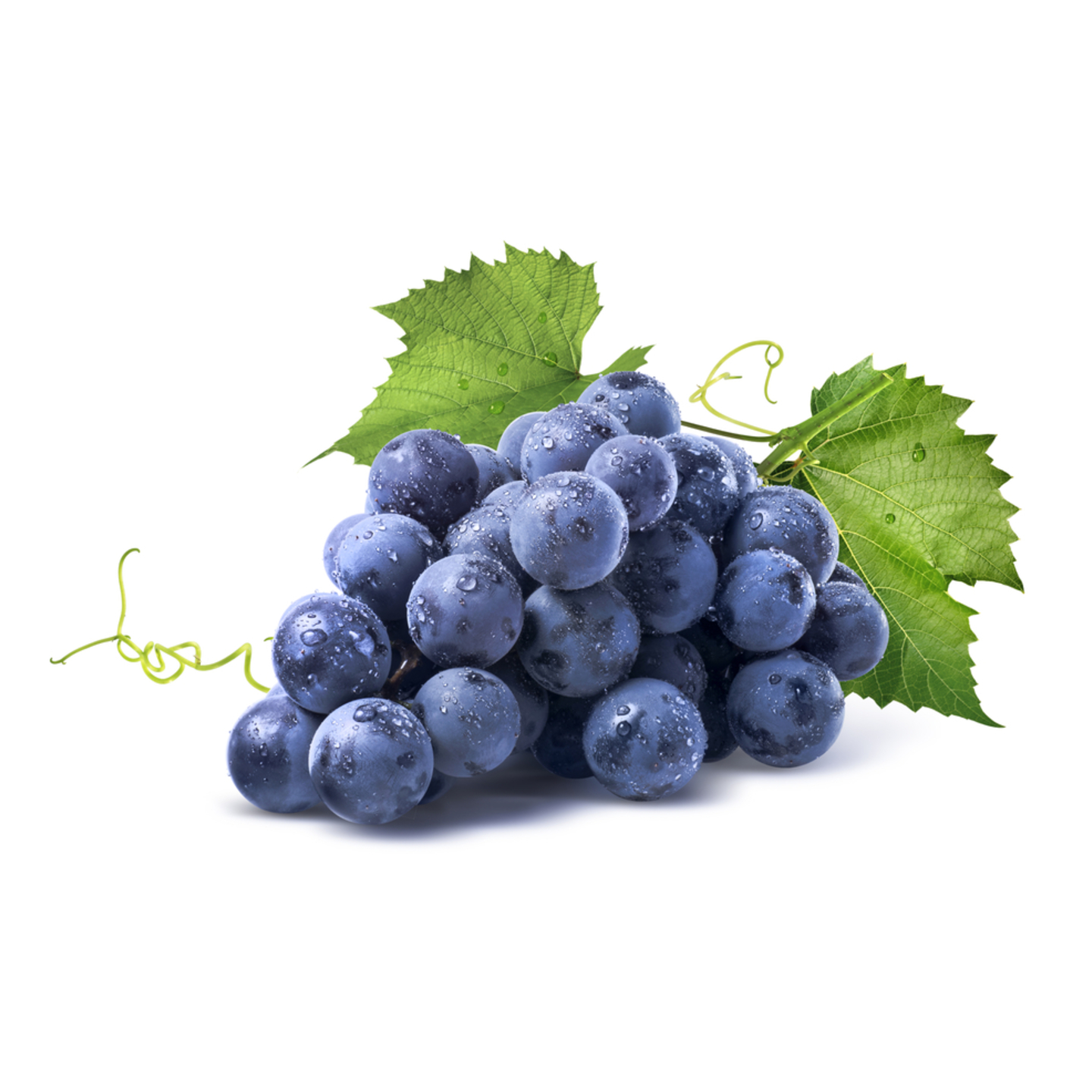 Blue Grapes