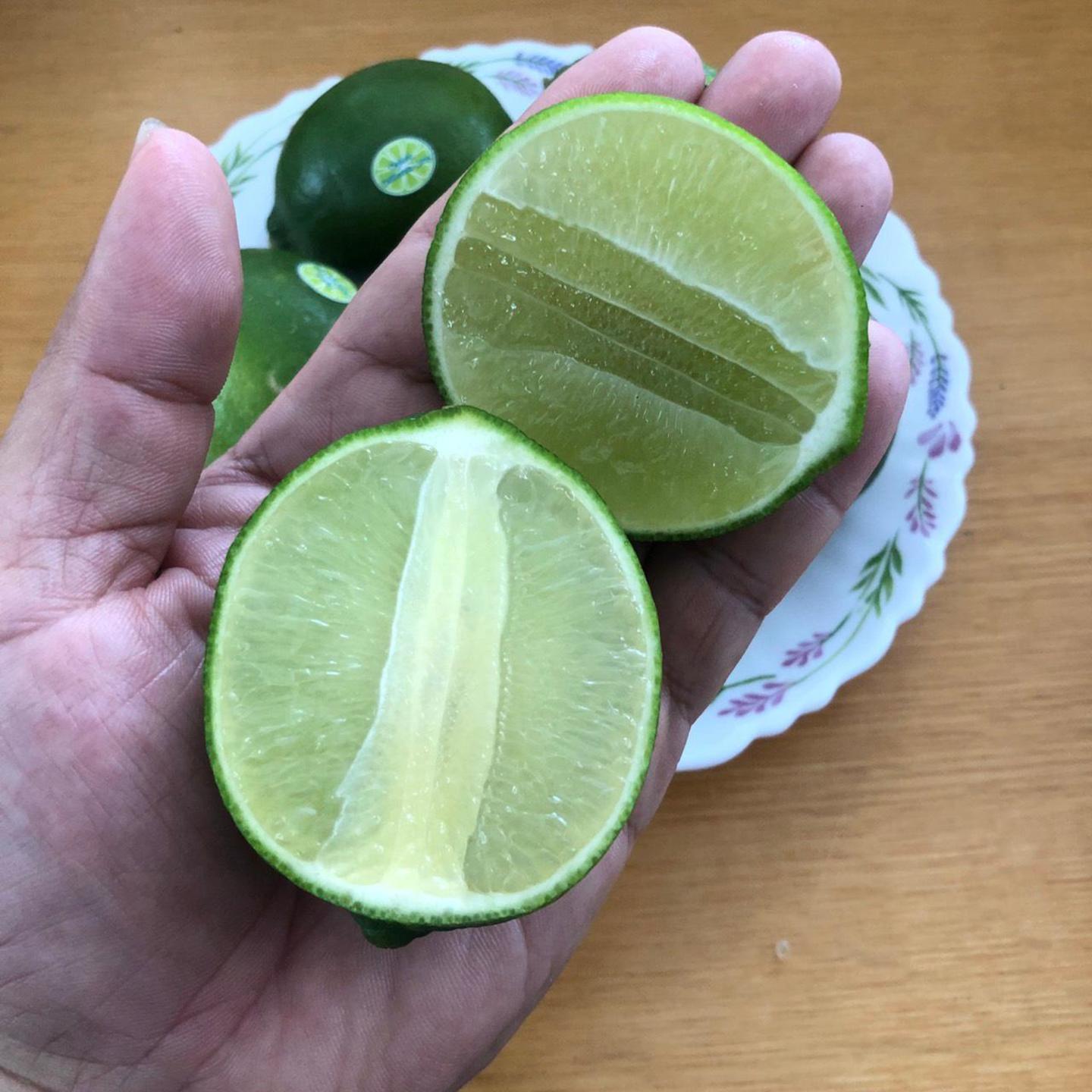 Key Limes Per Kg
