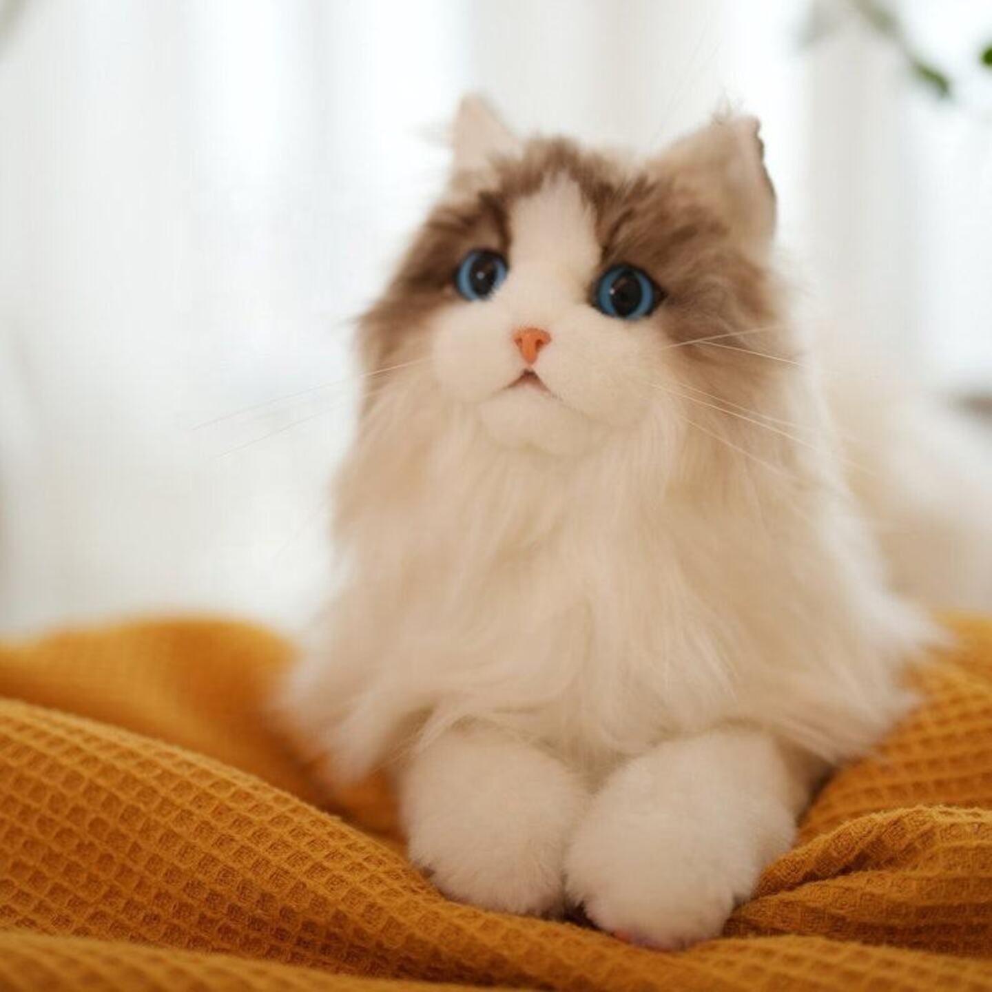 Animal Cuddly Doll Lifelike Ragdoll Cat Plush Stuffed Animal Real Size and Lifelike Plush Toy Cat