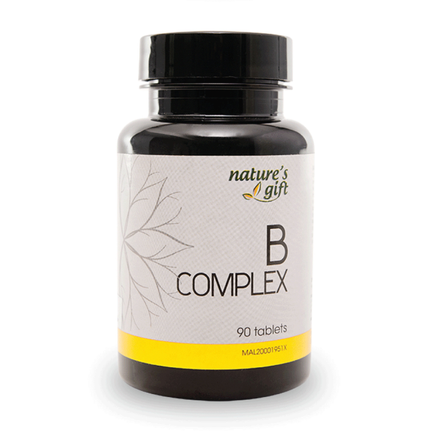 Vitamin B Complex Essential B Vitamins For Energy Management At A Cellular Level