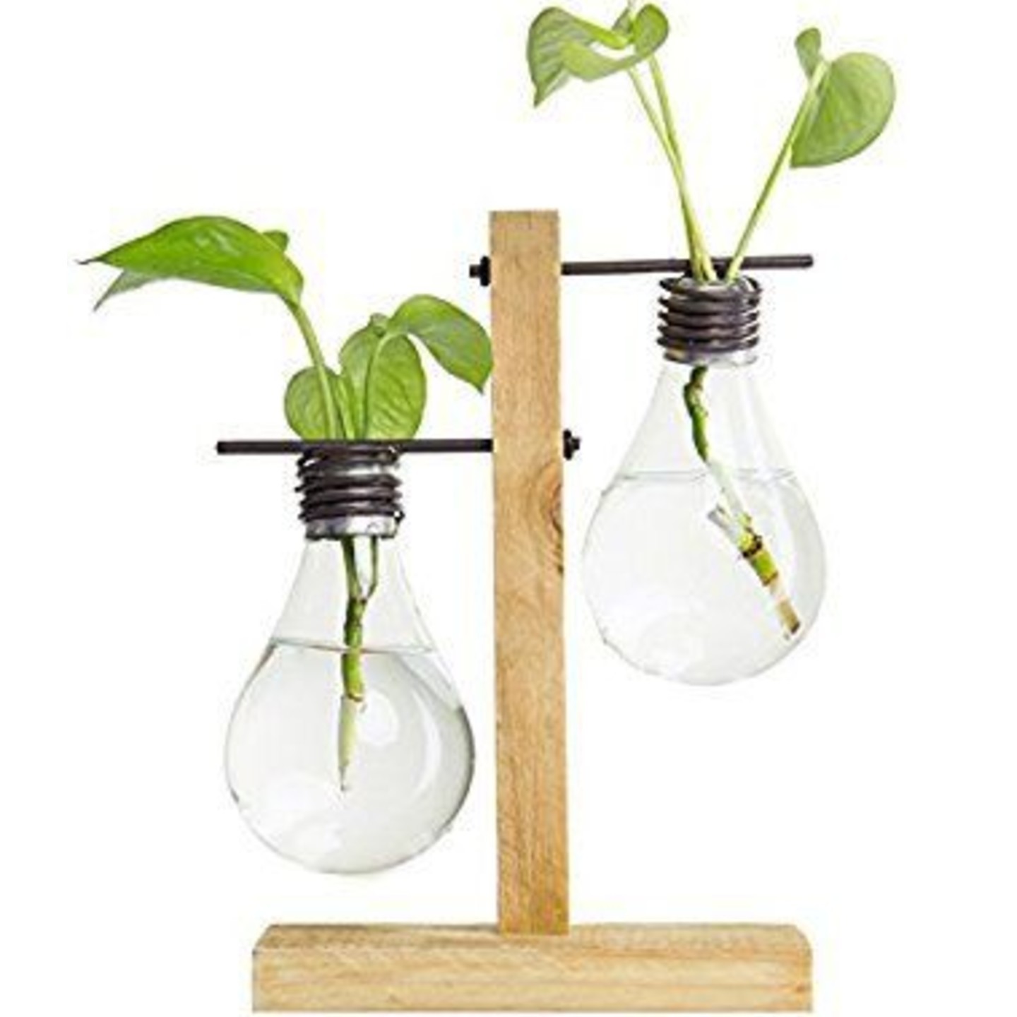 Light Bulb Vases with Wood Stand