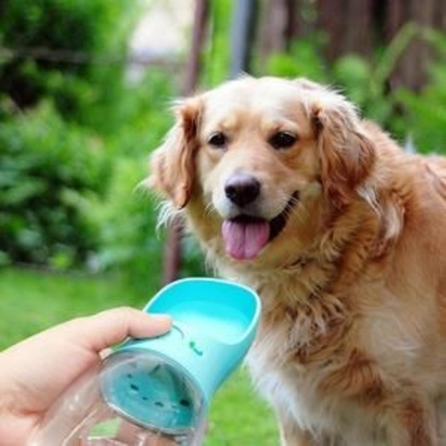 PORTABLE PET WATER BOTTLE