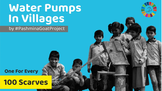 WaterPumps by PashminaGoatProject.jpg