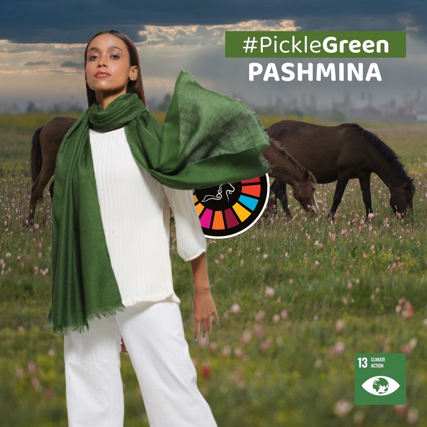 Pickle Green Pashmina UNSDG13 ClimateAction