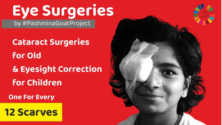 Eye Surgeries by PashminaGoatProject.jpg
