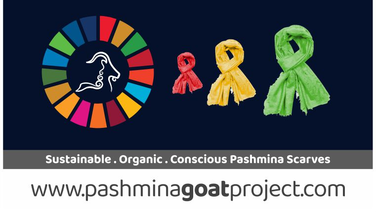 PashminaGoatProjectScarves.jpg