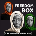 Pashmina Shawl Offer 3 in 1 Pashmina Combo Huge Discount
