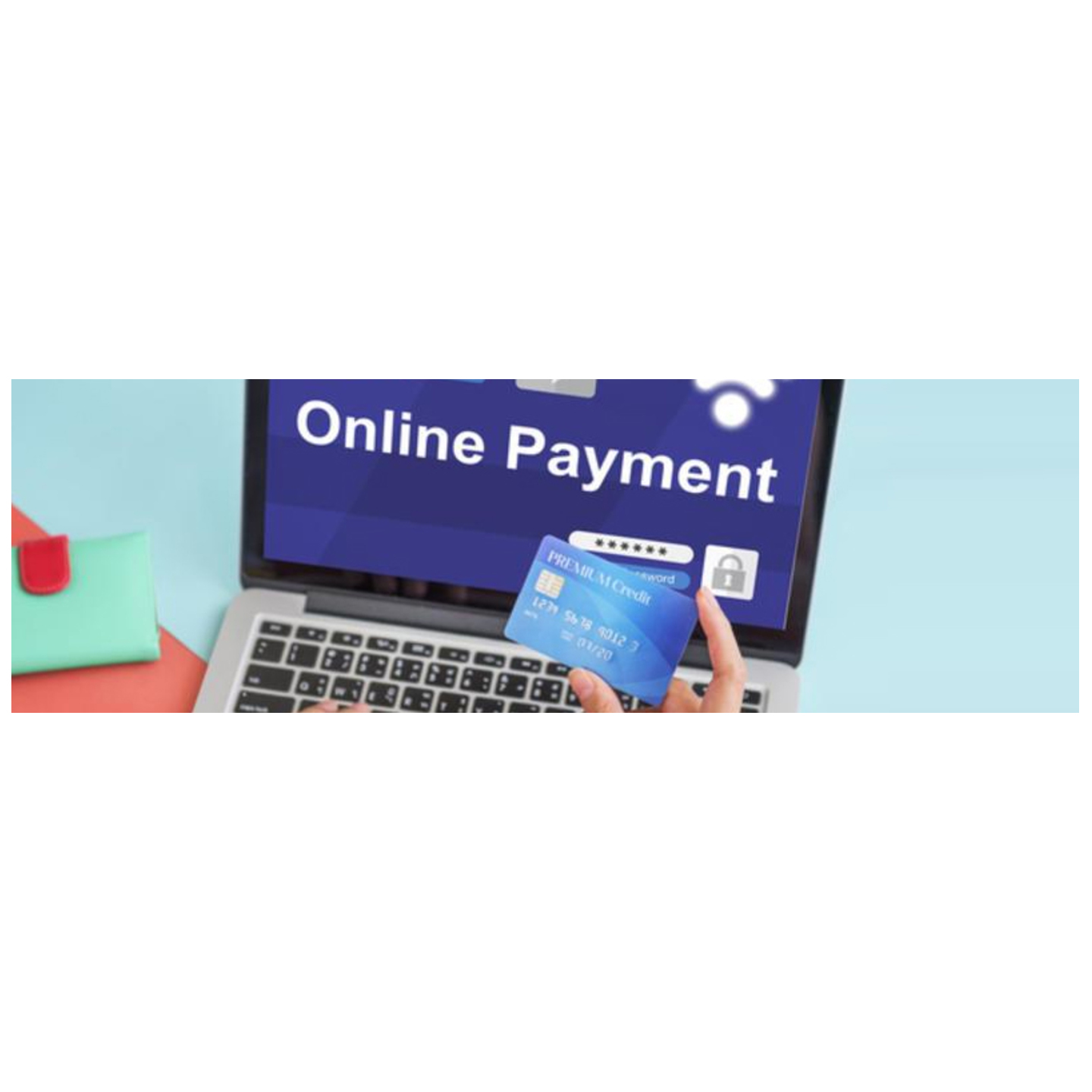 BILL PAYMENT SOFTWARE