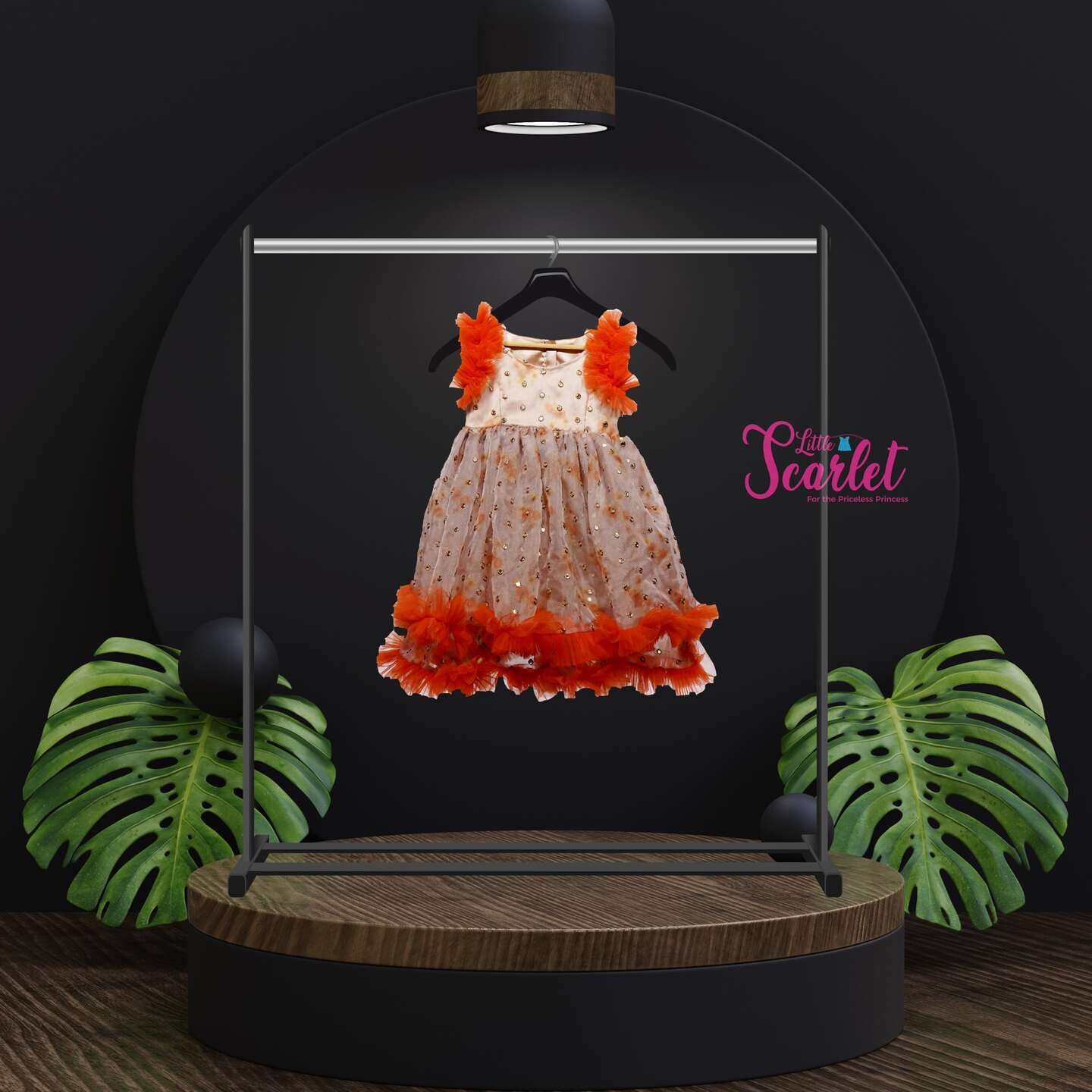 LS-0076 - Mirror Embroidery Organza Frock
