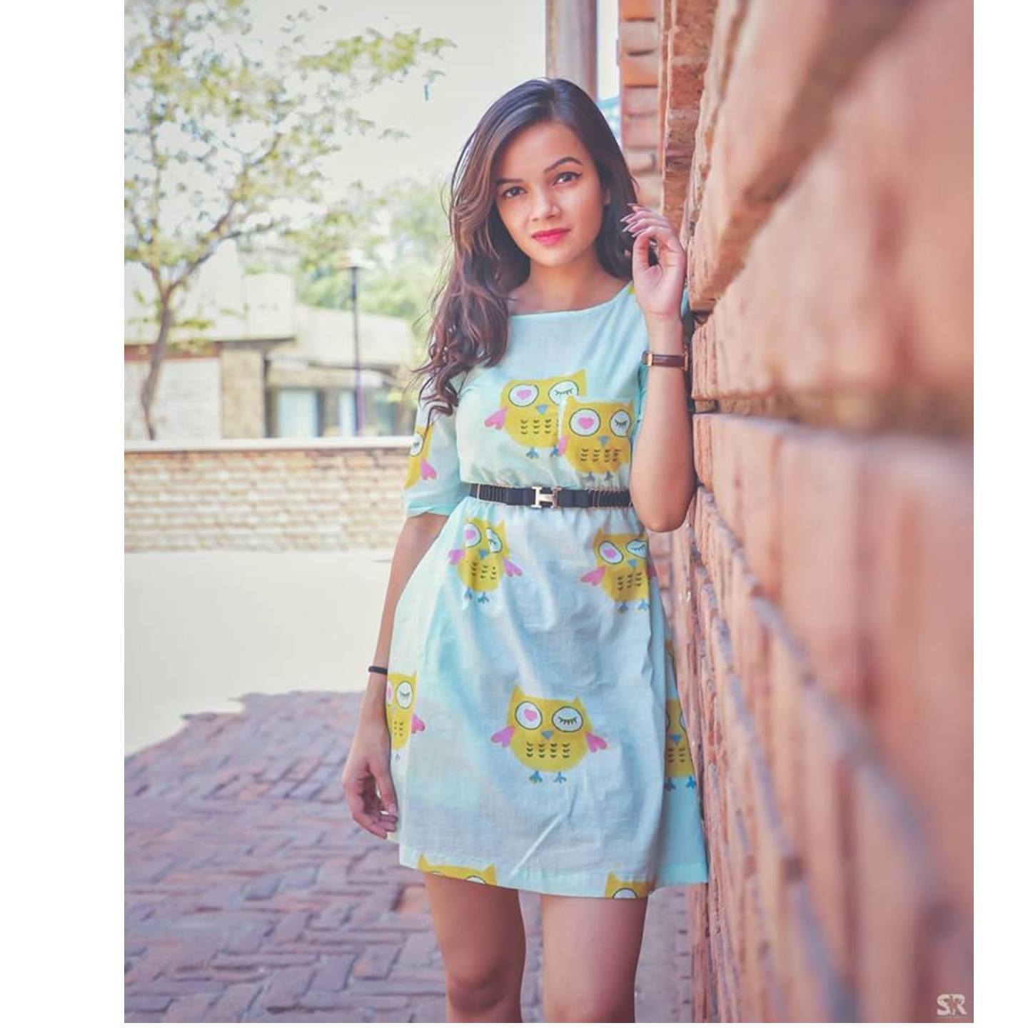 The Winking Owl Dress