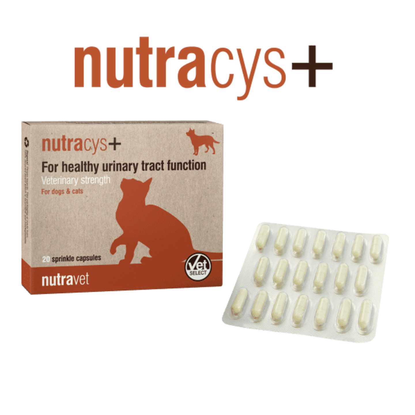 Nutracys+ for cats & dogs