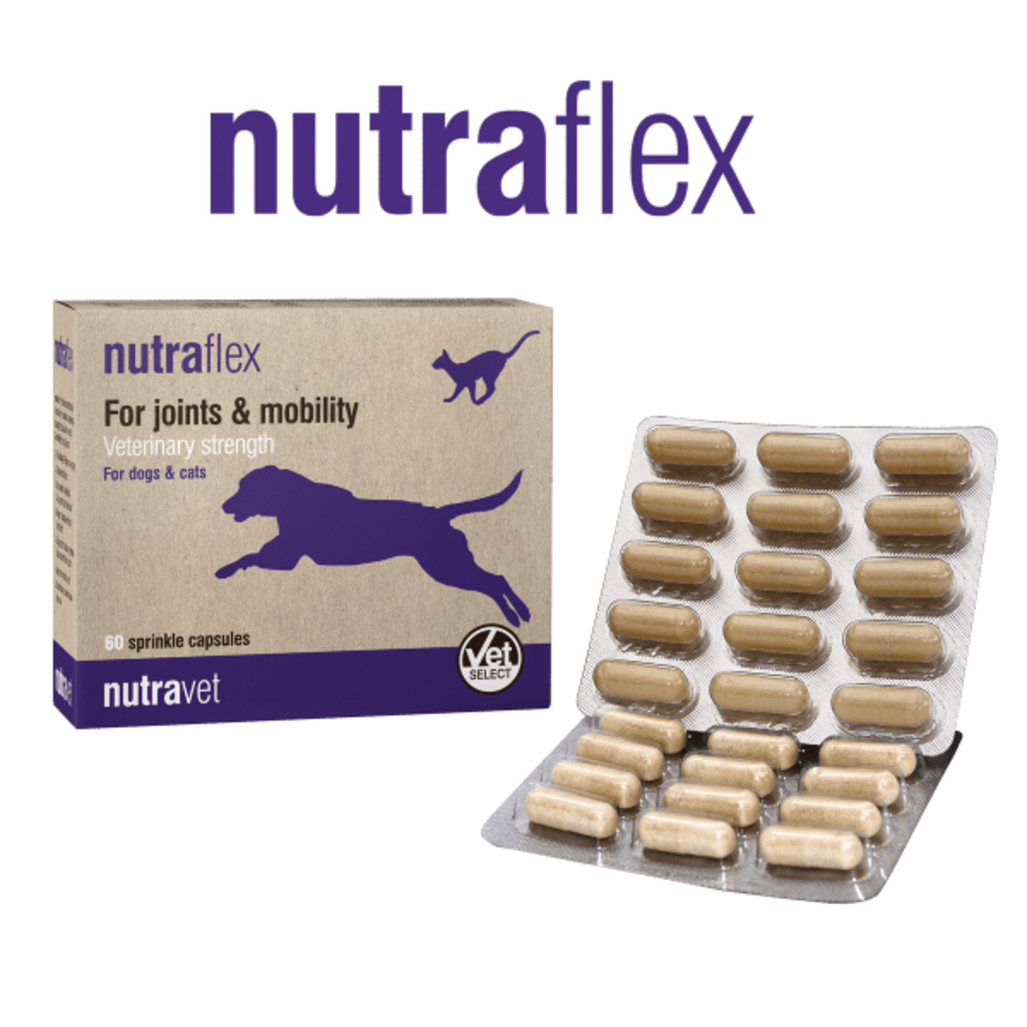 Nutraflex for dogs & cats