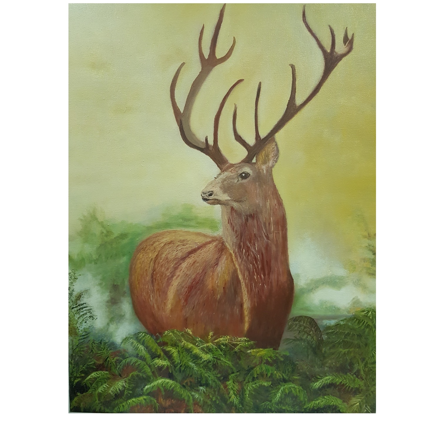 Lost Reindeer