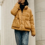 Winter Jacket Waist Length Dry Clean