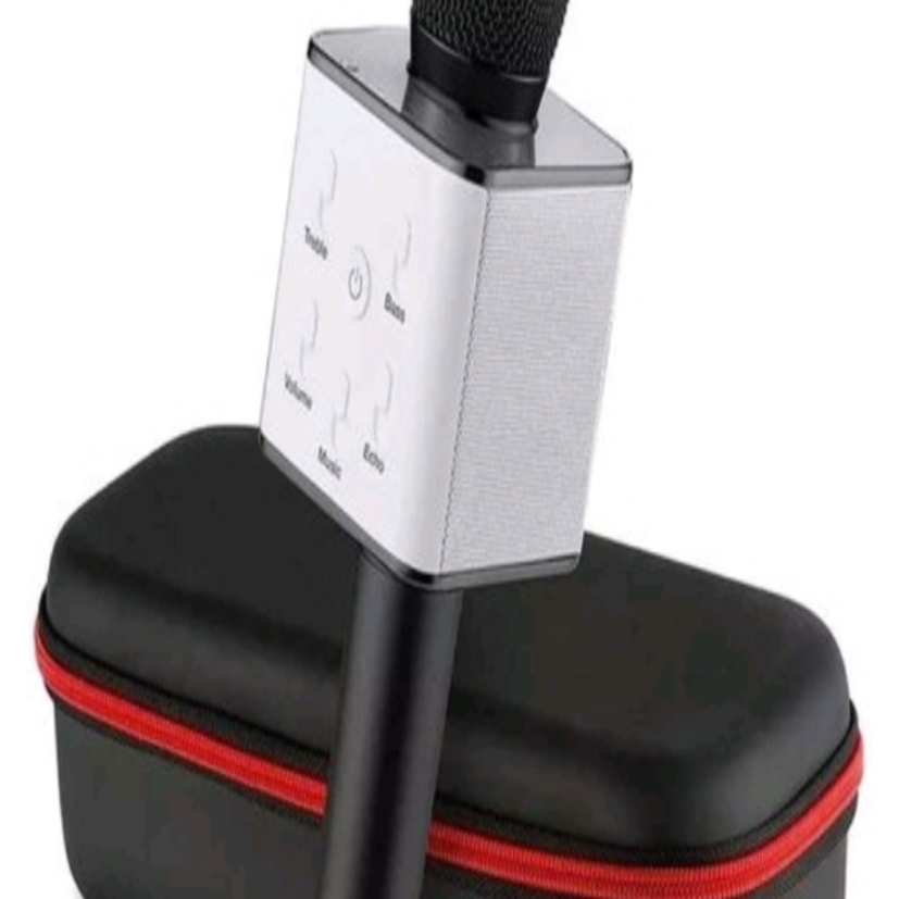 Microphone
